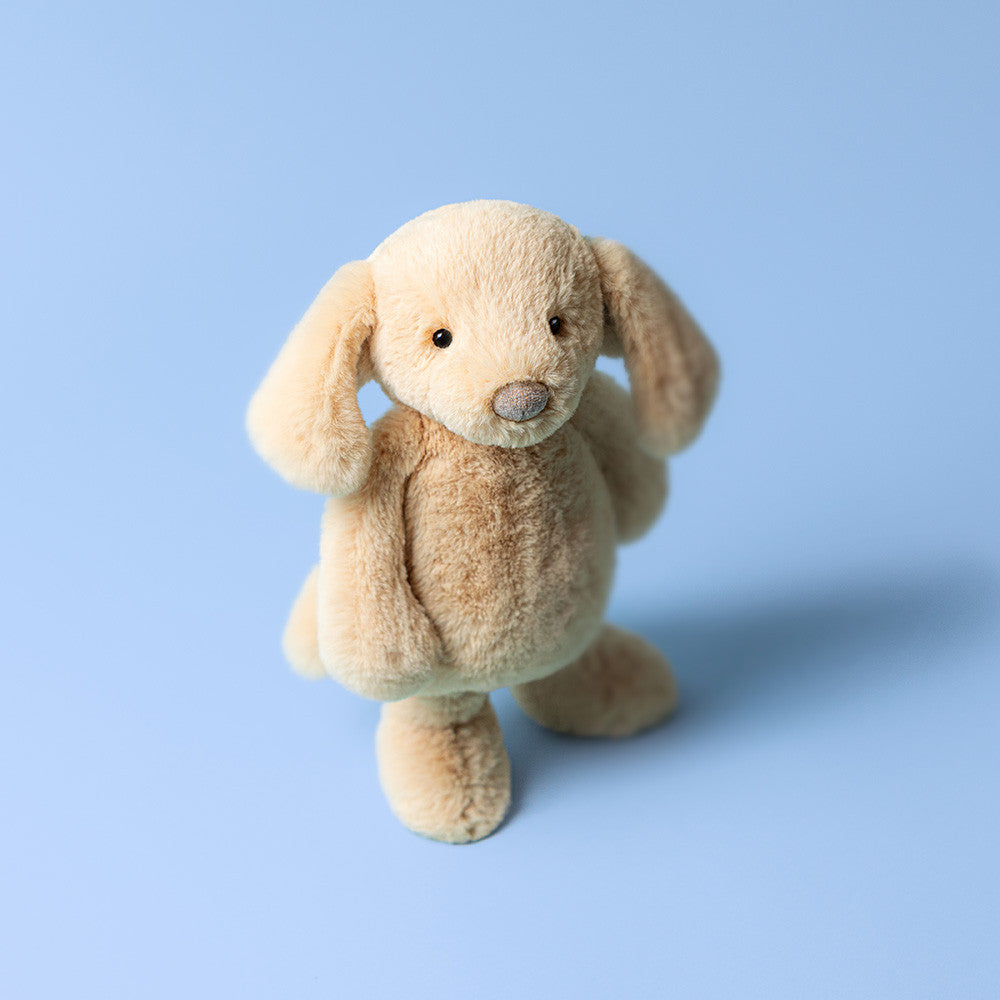 Bashful Luxe Puppy Orlando Original