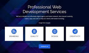 WEBSITE DEVELOPMENT PACKAGE